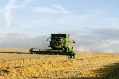 290813JDeereT670i_Rooks_Wheat_05a-scaled