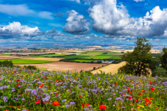 View over the Vale of Pickering on the Yorkshire Wolds