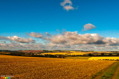 Planted fields in autumn on the Yorkshire Wolds
