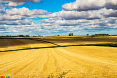 Cleared stubbles after harvest on the Yorkshire Wolds nr Holme on the Wolds