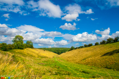 Cow Dale nr Huggate in the Yorkshire Wolds