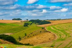 Brubber Dale Fridaythorpe Yorkshire Wolds