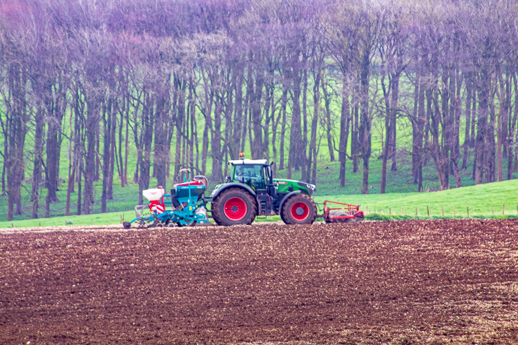 Drilling spring crops