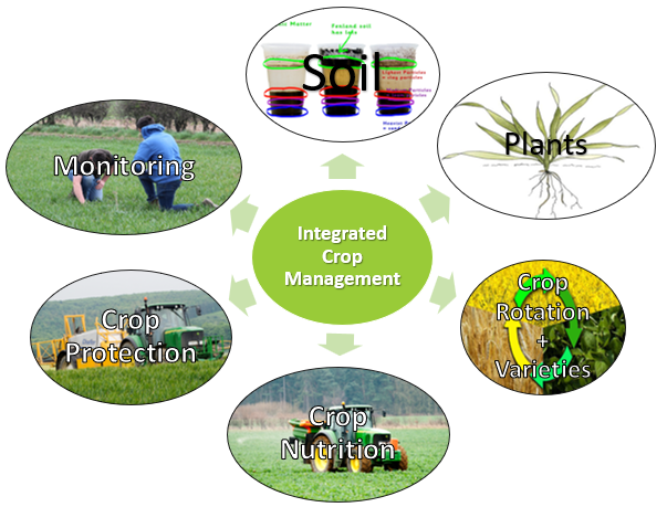 Integrated Crop Management 