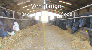 Good Bad Ventilation