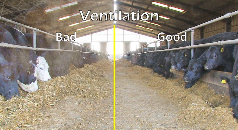 Good Bad Ventilation