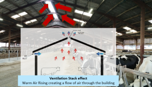 Ventilation Stack Effect