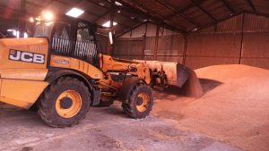 Loading stored grain
