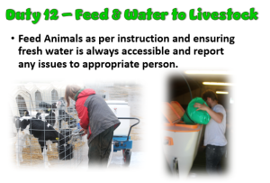 Duty 12 Livestock Feed Water