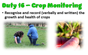 Duty 16 Crop Monitor
