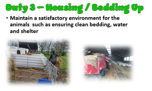 Duty 3 Livestock Housing