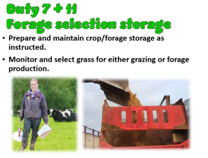 Duty 7+11 Monitor Grass Forage
