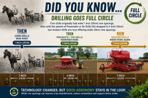 Drill Evolution