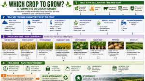 Crop Rotation - which crop to choose?