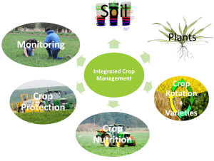 Integrated Crop Management