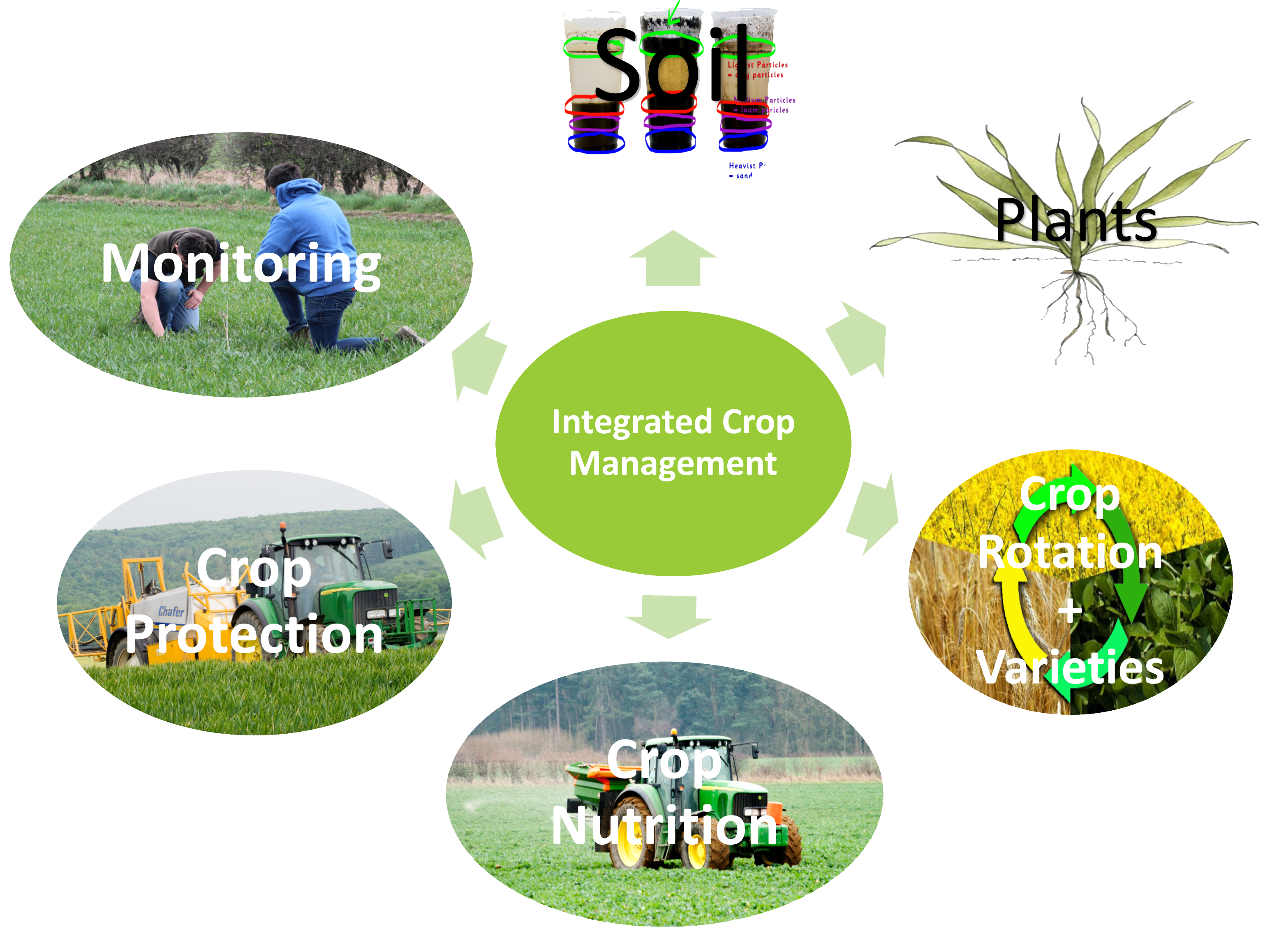 Integrated Crop Management