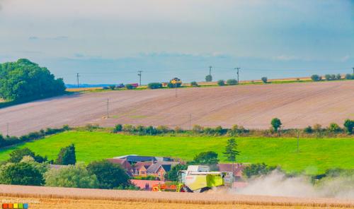 Harvest on the Yorkshire Wolds - Newbald